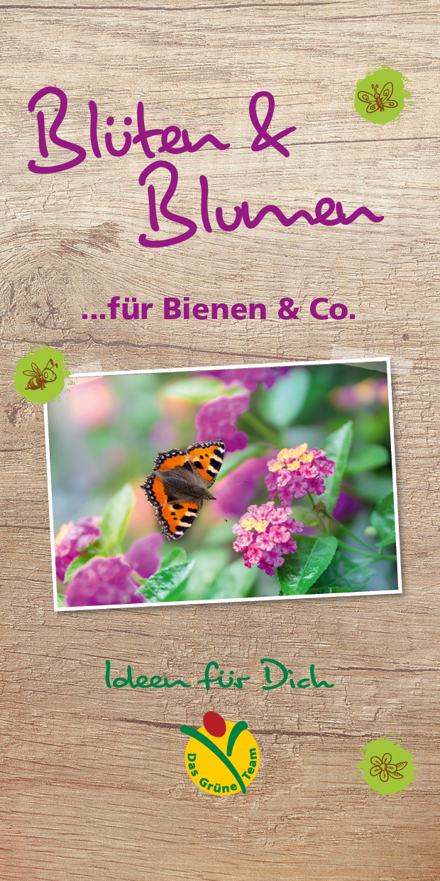 Das grüne Team kreativer Gärtner und Floristen, Gartenbauberatungsring